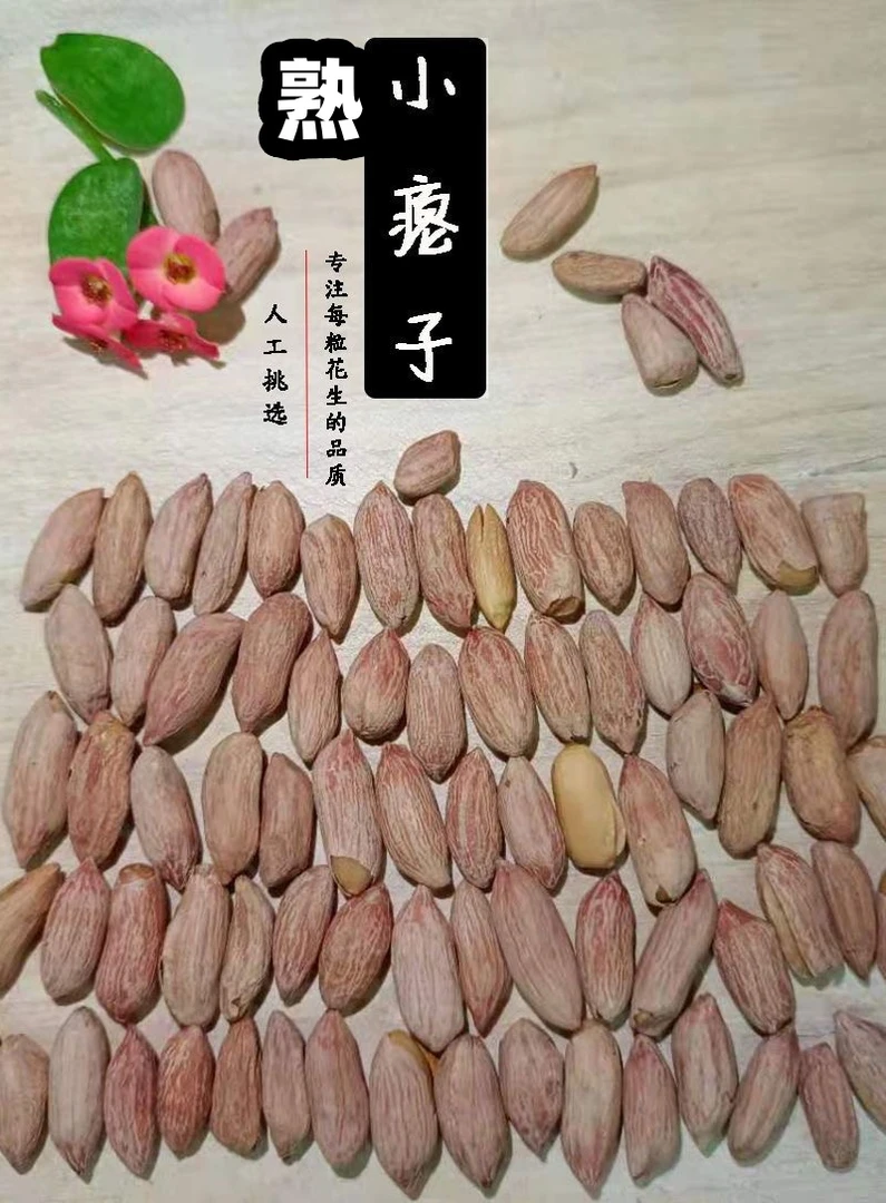 熟瘪花生2025年新米甘甜正宗山东小瘪子熟花生香酥熟秕花生零食