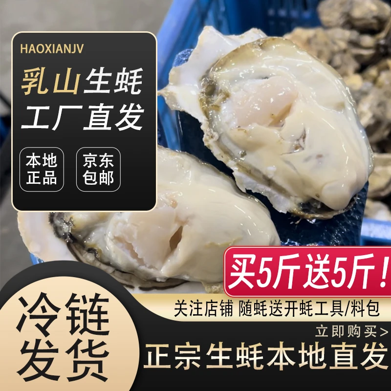 正宗乳山生蚝买5斤送5斤金标原产地现捞现发精品新鲜美味京东包邮