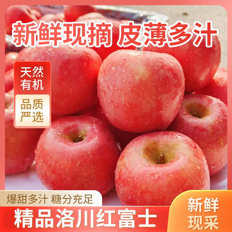 陕西洛川红富士苹果脆甜多汁红彤彤的苹果当季新鲜水果整箱批发
