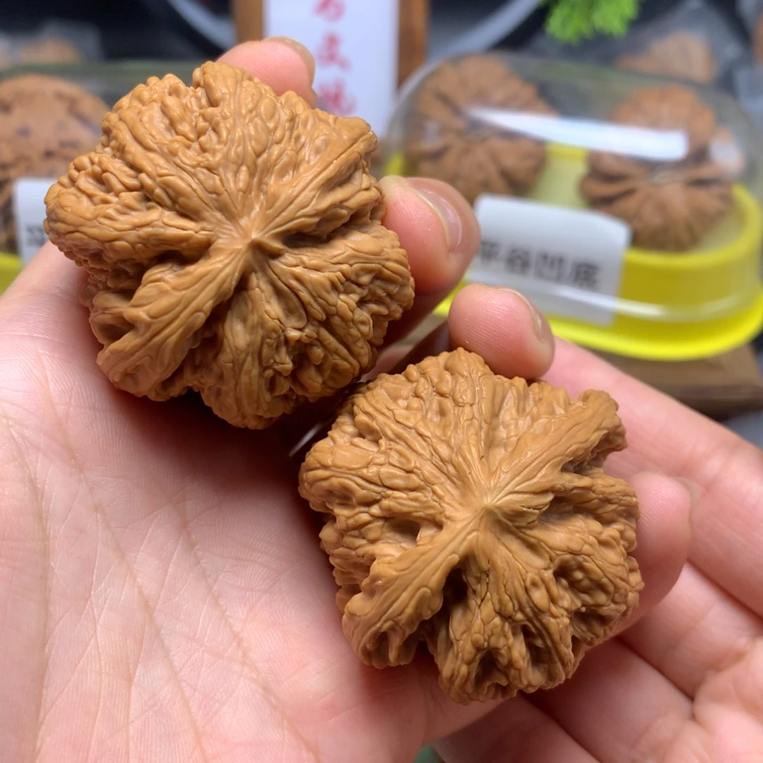 文玩核桃把件猎*座45粗筋