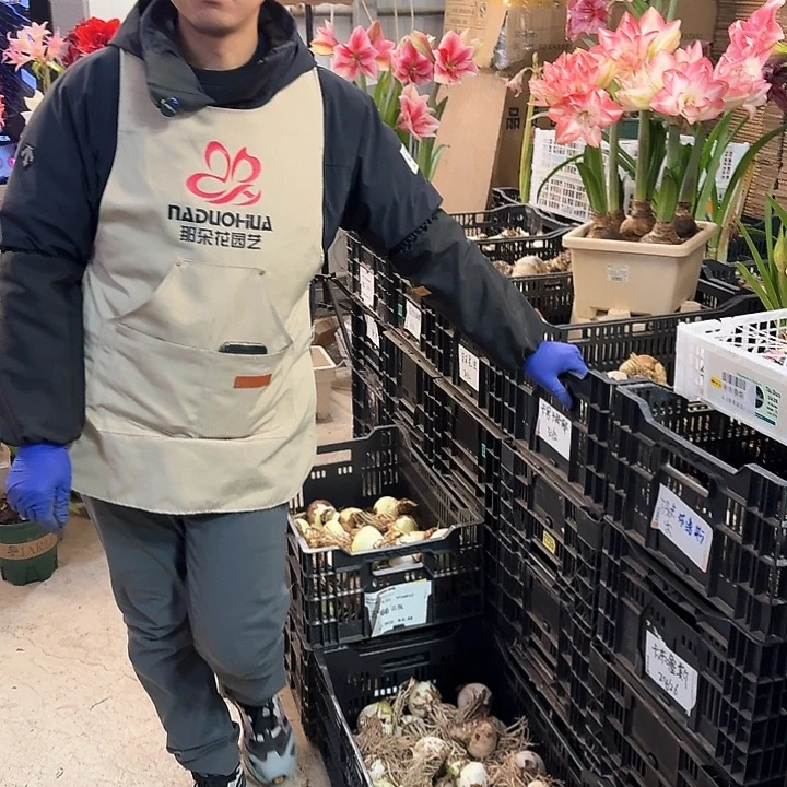 随机精品基地球一个，，，