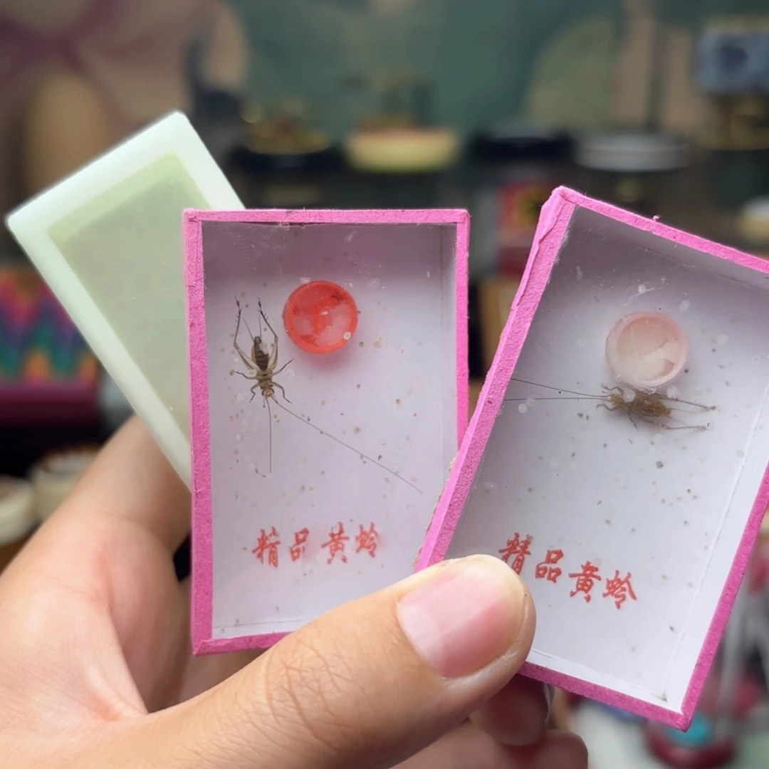 哈哈哈哈哈哈哈哈哈哈哈