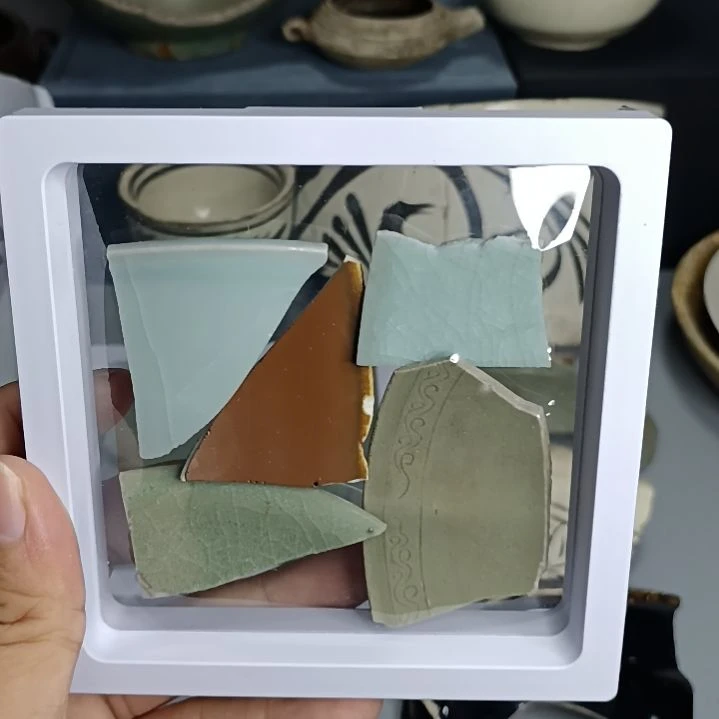 各类瓷片标本五块