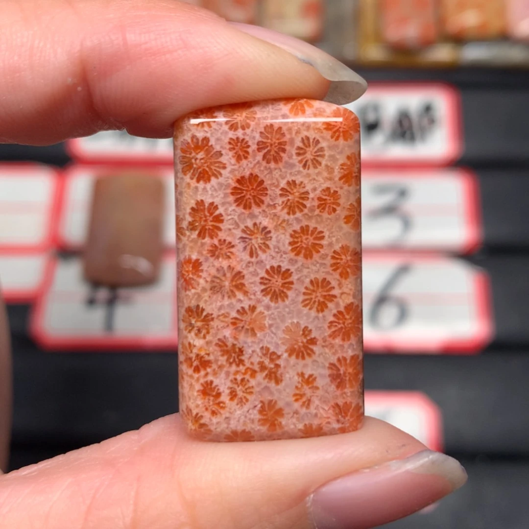 【闪购商品】未镶嵌颈饰硅化玉我