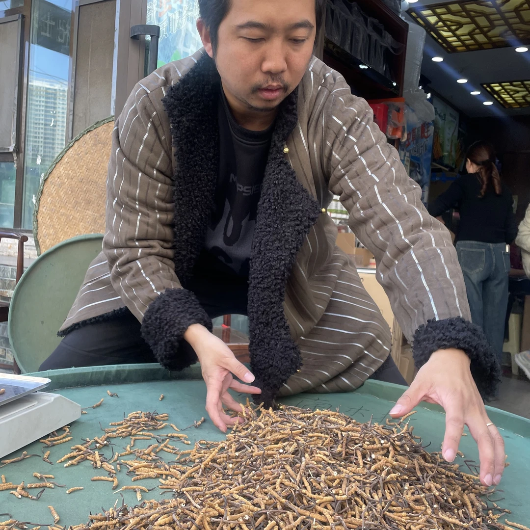 N新货（源头现场收草）精品100根2025年新货冬虫夏草现货现卖