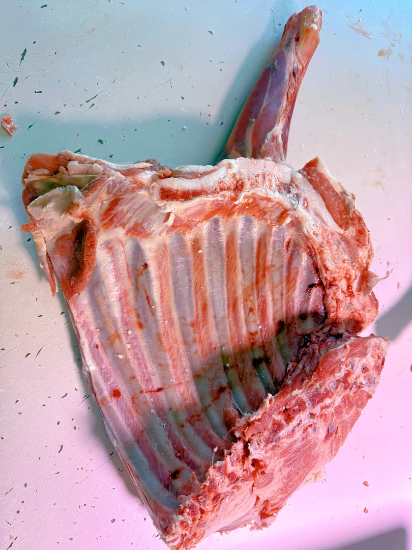 青海小尾藏羊（前腿+排）10斤无膻味冷冻保鲜发货冷链发货包邮