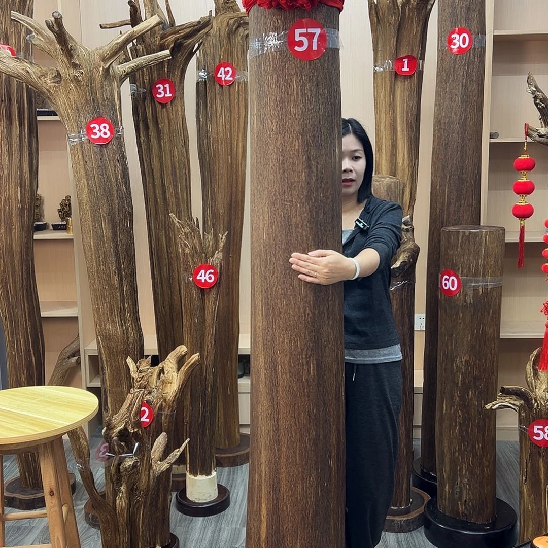 五***黑沉香碎屑沉香沉香