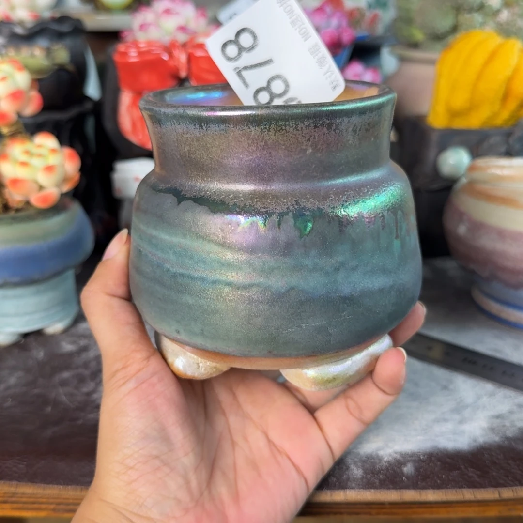 重庆小燕子欢迎大家878