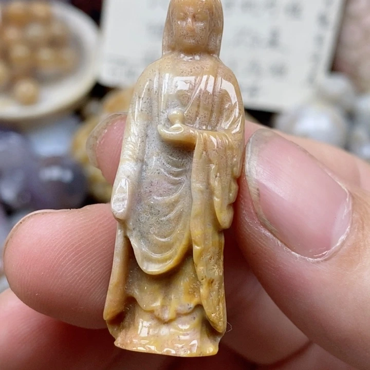 硅化珊瑚（珊瑚玉）未镶嵌颈饰