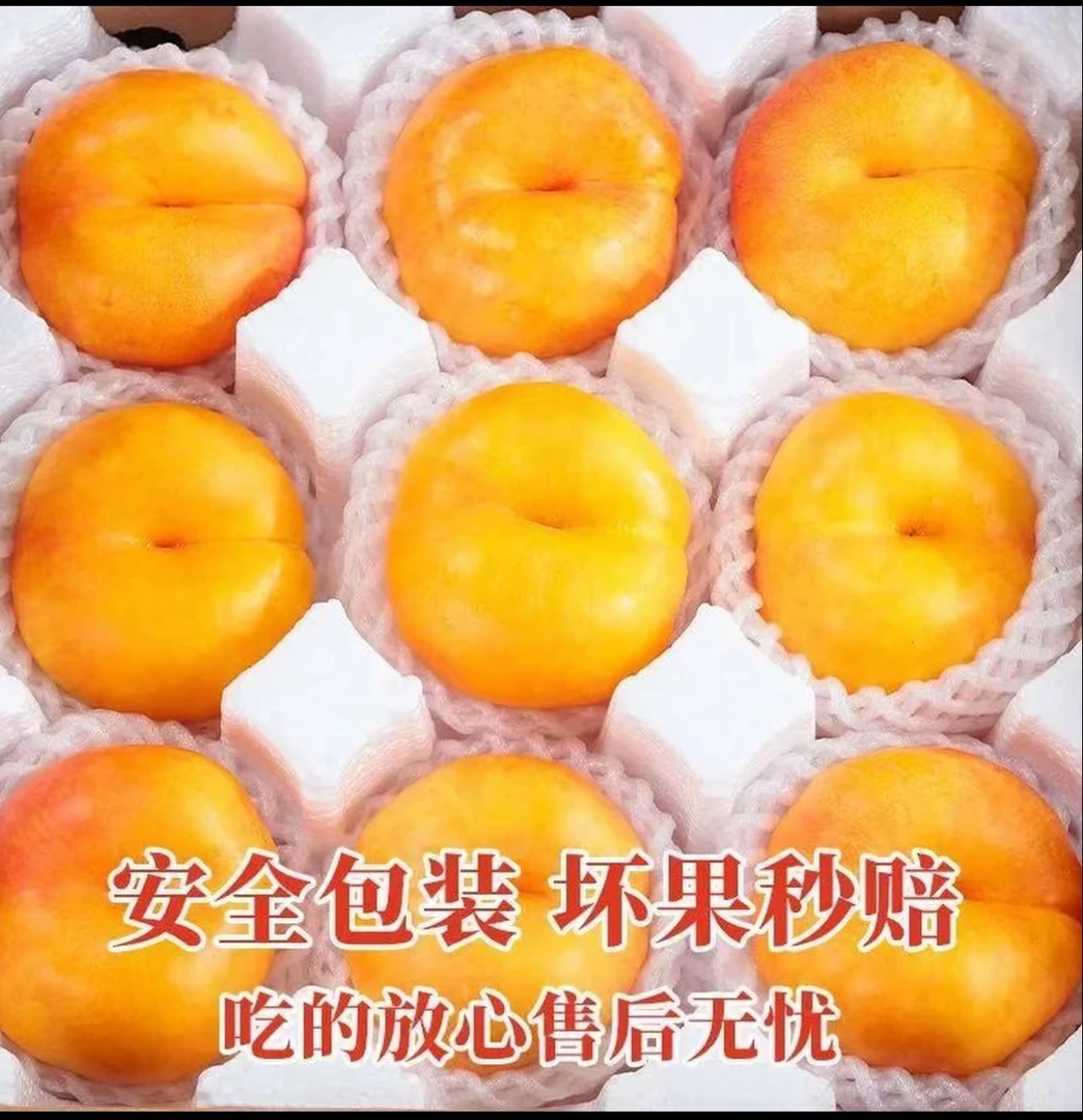 【唐汉油蟠桃】黄金彩虹油蟠桃新鲜应季水果甜嫩多汁现摘现发