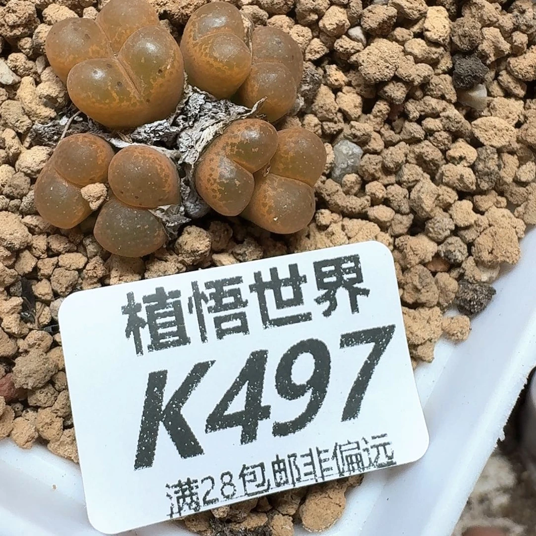 的润泽的润泽地方