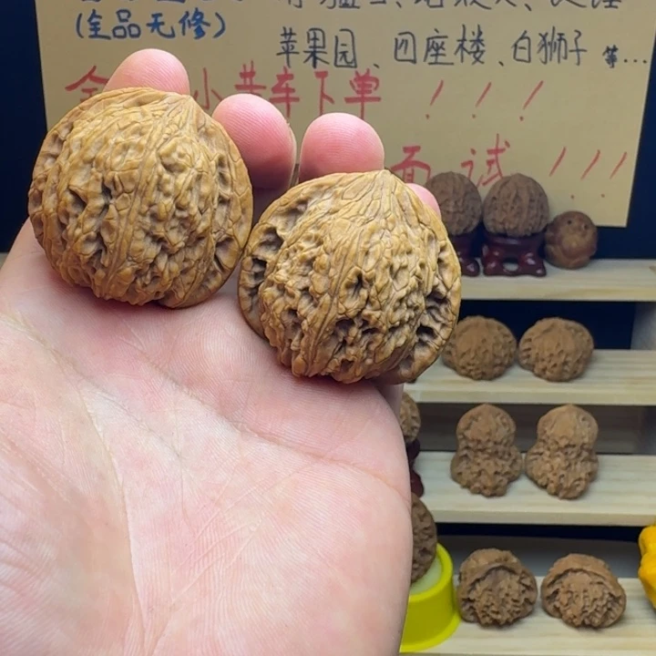 福利绣球111111111