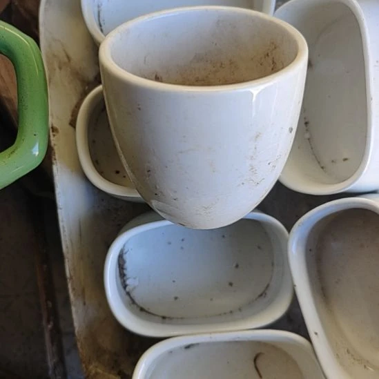 瓷发六个杯子，国营四厂库存