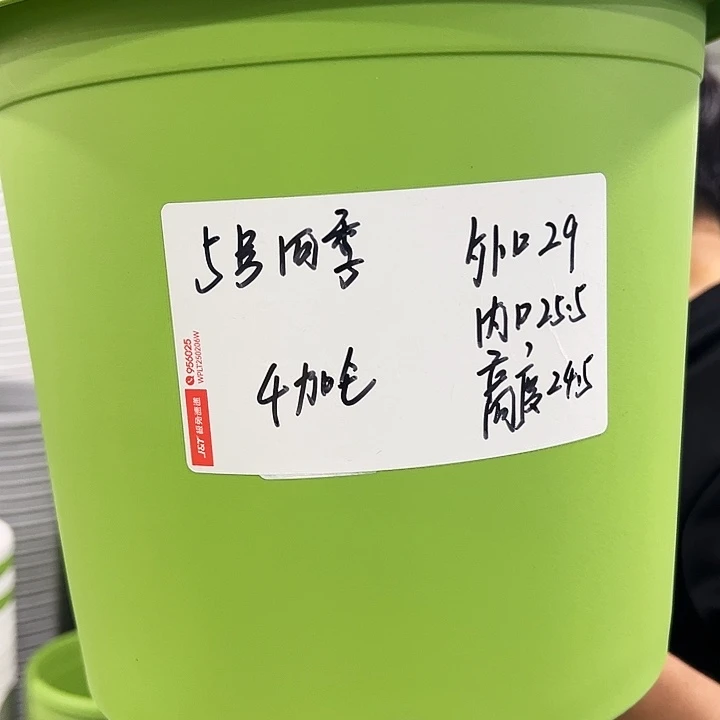 特价5号四季口29高24米色10个无托