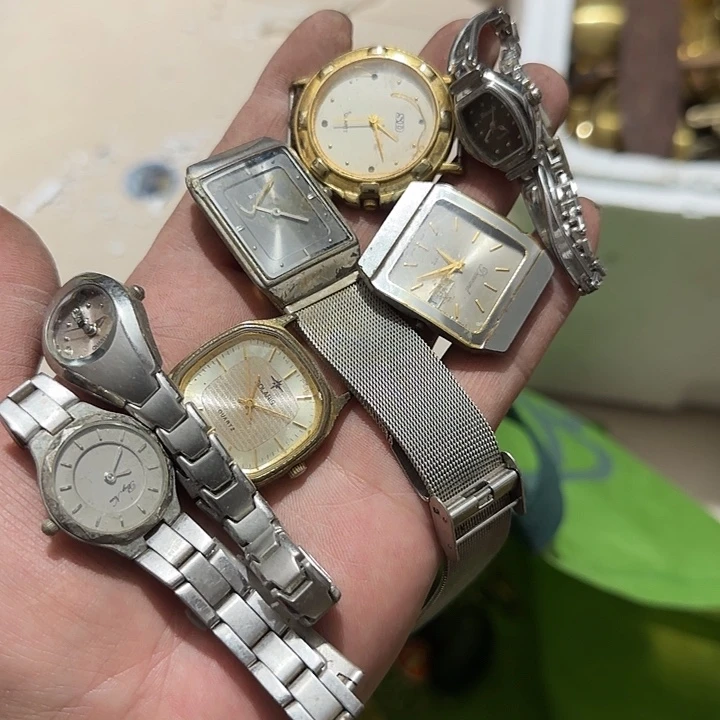 贝壳杉田*野Fgfhghghghgvv