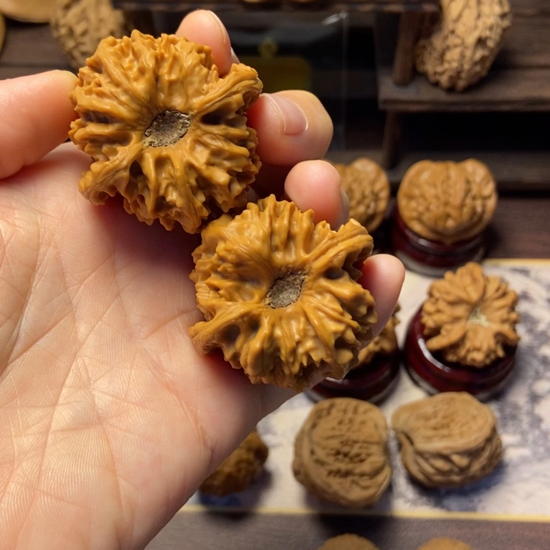 文玩核桃把件曹大龙尺寸42