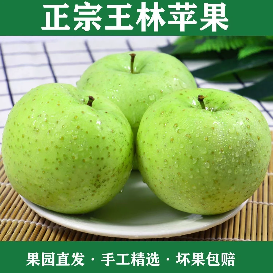 【顺丰包邮】山东蜜雪王林苹果青森王林苹果新鲜水果脆甜多汁水果
