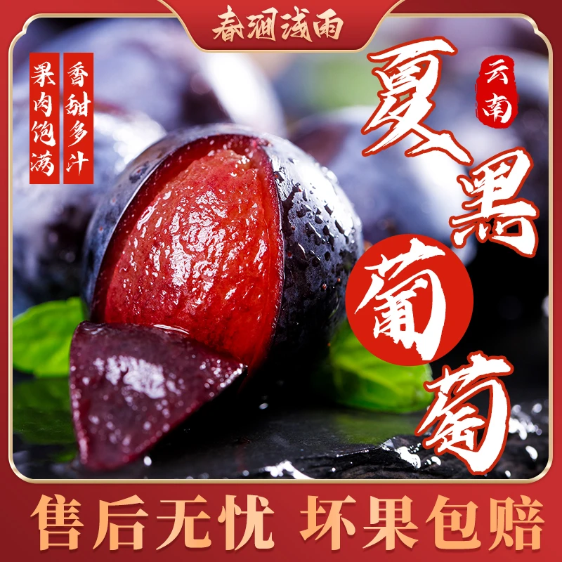 云南夏黑葡萄1.5/2/3斤果肉饱满香甜多汁新鲜水果【顺丰快递】