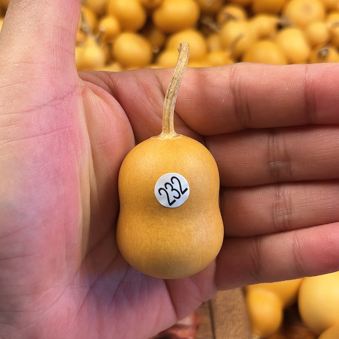 四葫芦葫芦葫芦葫芦232