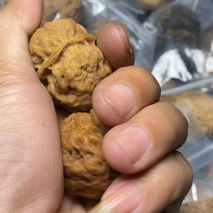 文玩核桃把件云南铁核桃60号41mm