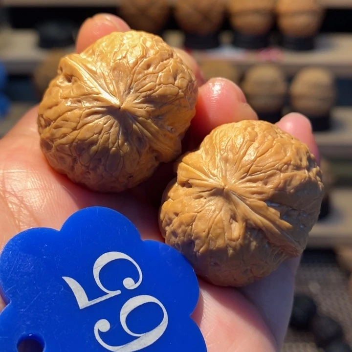 开播福利2号链接水晶蛇皮球32尺寸