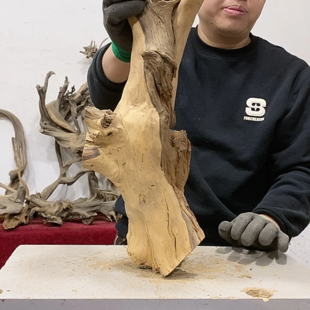 【闪购商品】柏木用****5我们都是好孩子