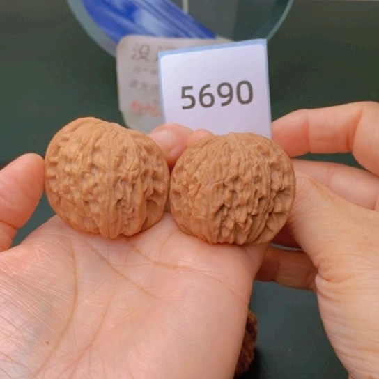 把件文玩核桃40.5蝴蝶磨5690