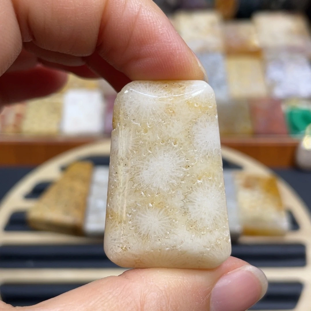 硅化玉未镶嵌颈饰k66