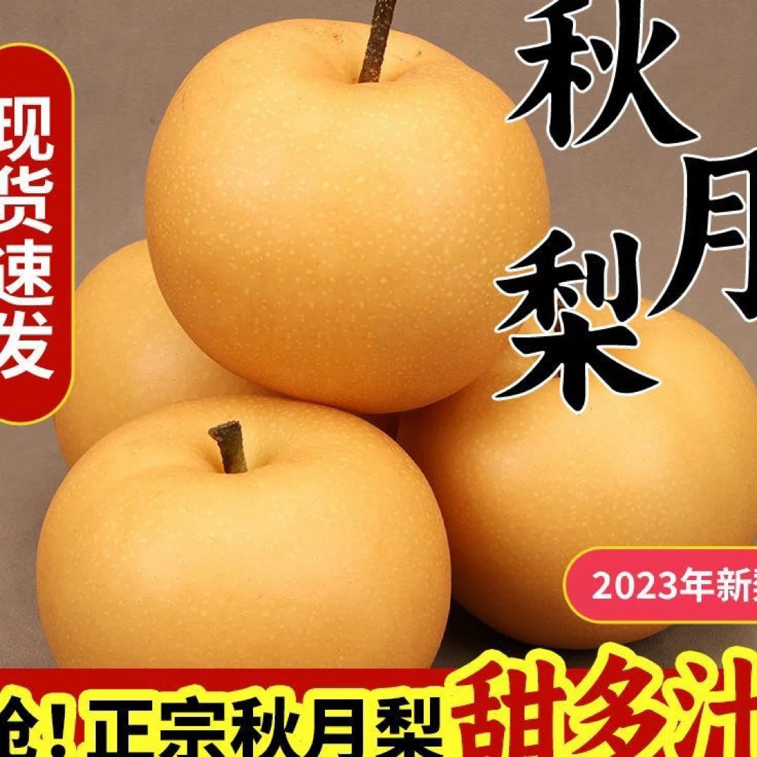 正宗秋月梨山东莱阳秋月梨当季水果冰糖脆秋月梨口感细腻无渣包邮