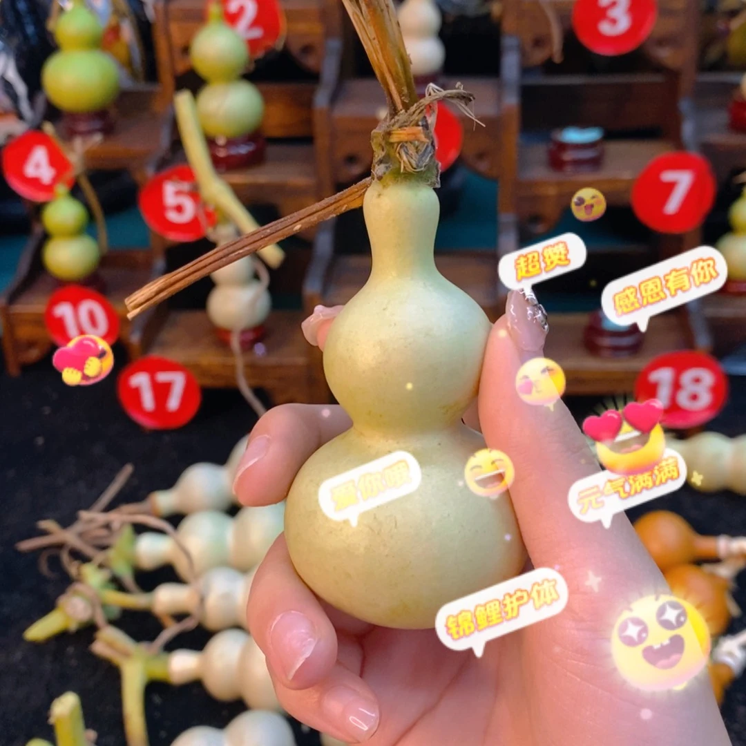 好了哦哦哦哦哦哦哦55