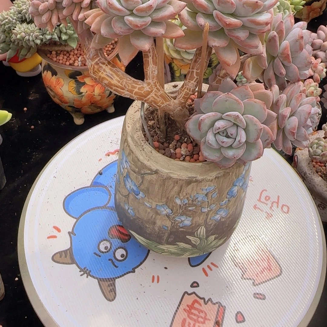 韩版星星雪一颗妖桩