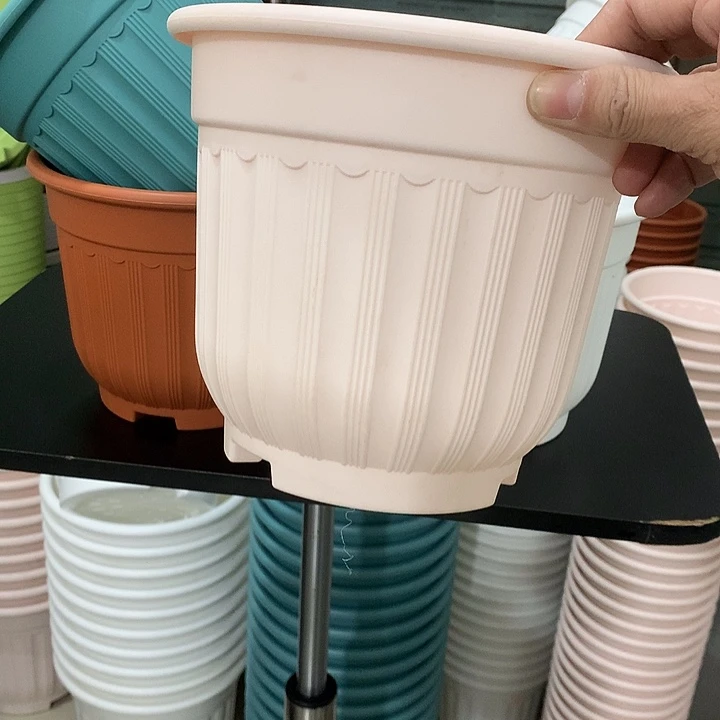 罗马口21高18粉4个