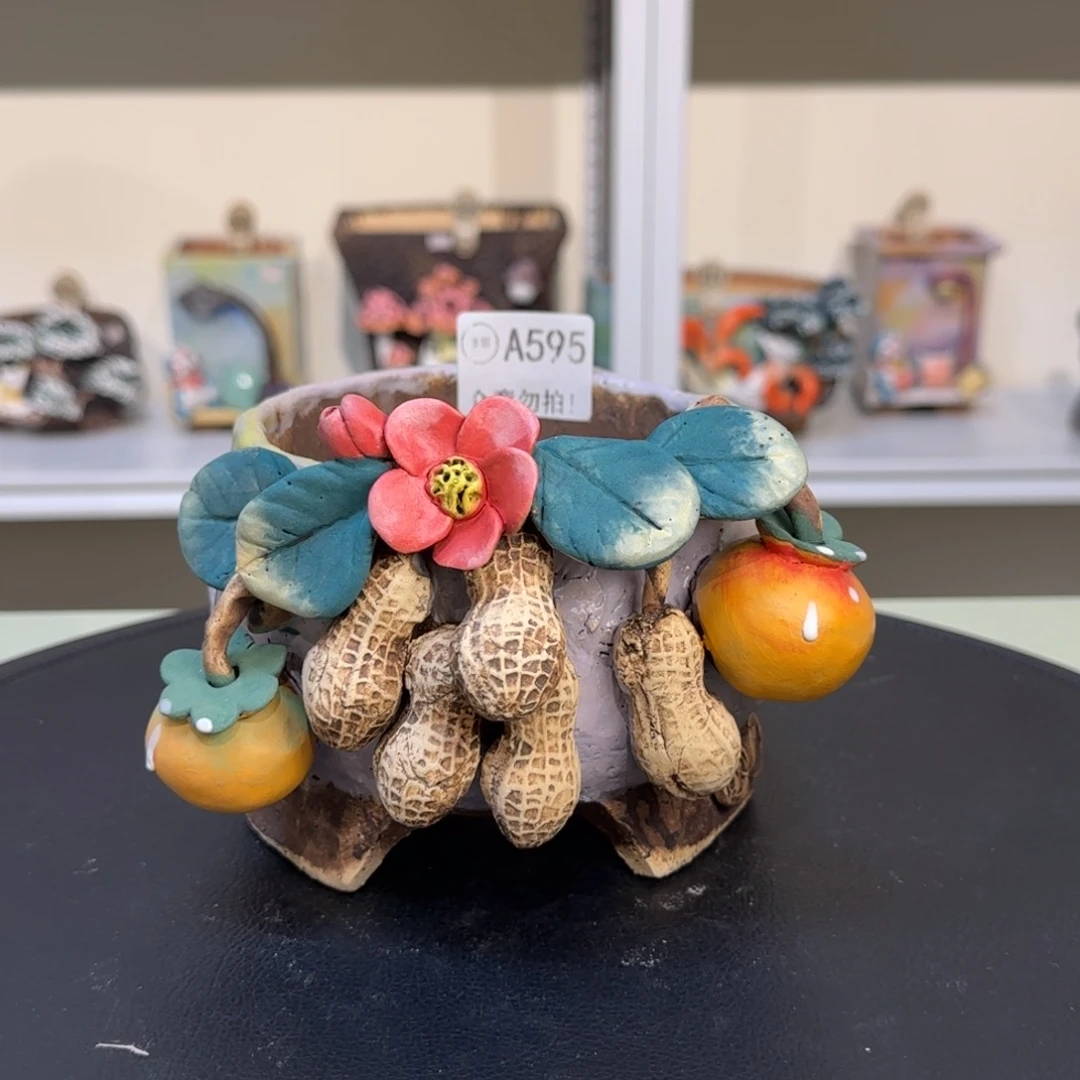 A595 【闪购】多肉花盆