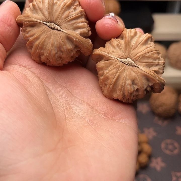 核桃41白狮子福利对