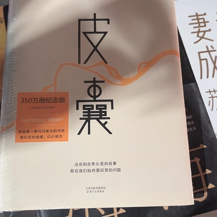 皮囊新书推荐精装