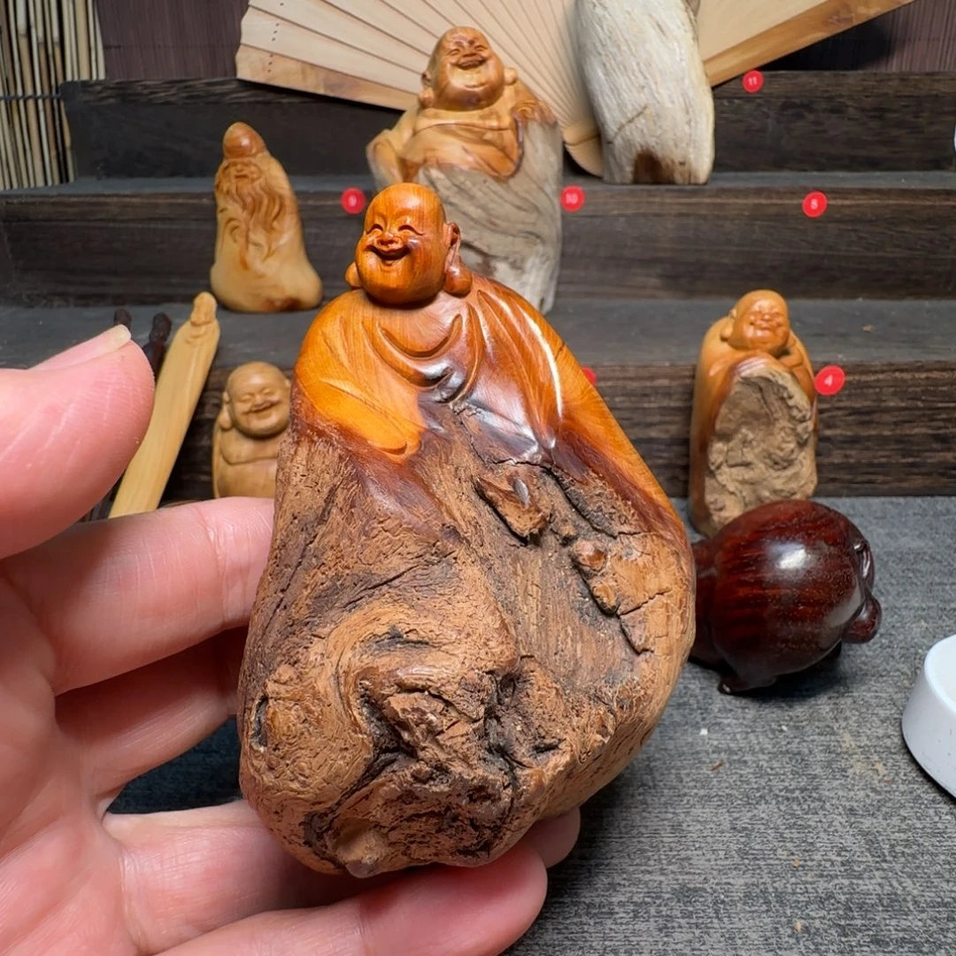 大***S柏木（崖柏）我的小可爱小猫咪