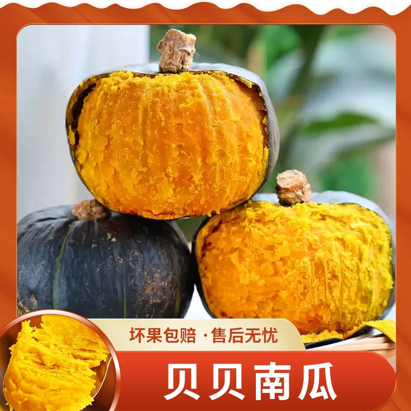 【遊园果纪】山东贝贝南瓜3斤约3-4个/4.5斤约4-8个