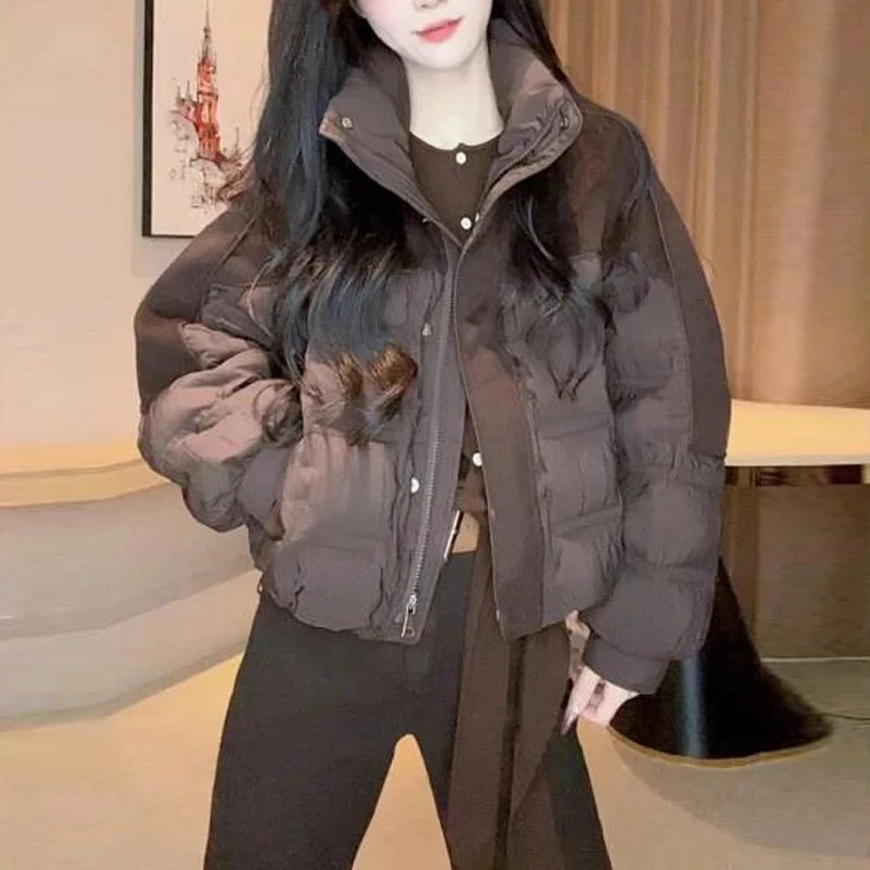 韩版时尚减龄纯色立领百搭棉服女士2025冬季新款保暖潮流棉衣外套