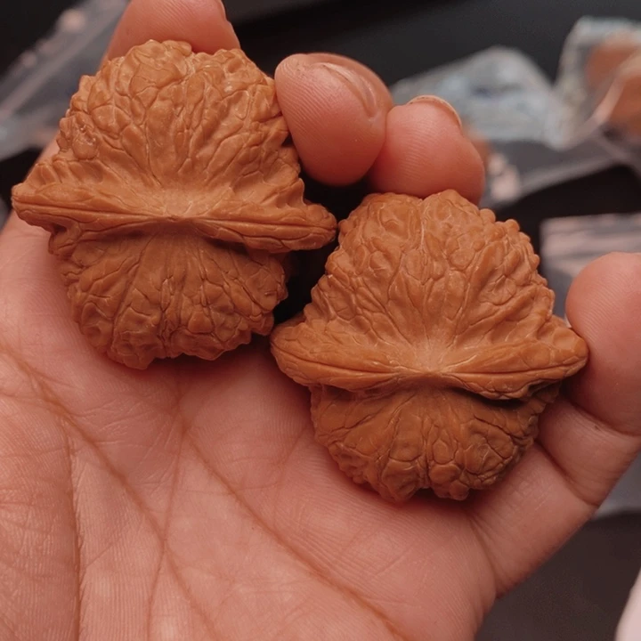 核桃血麒麟41尺核桃
