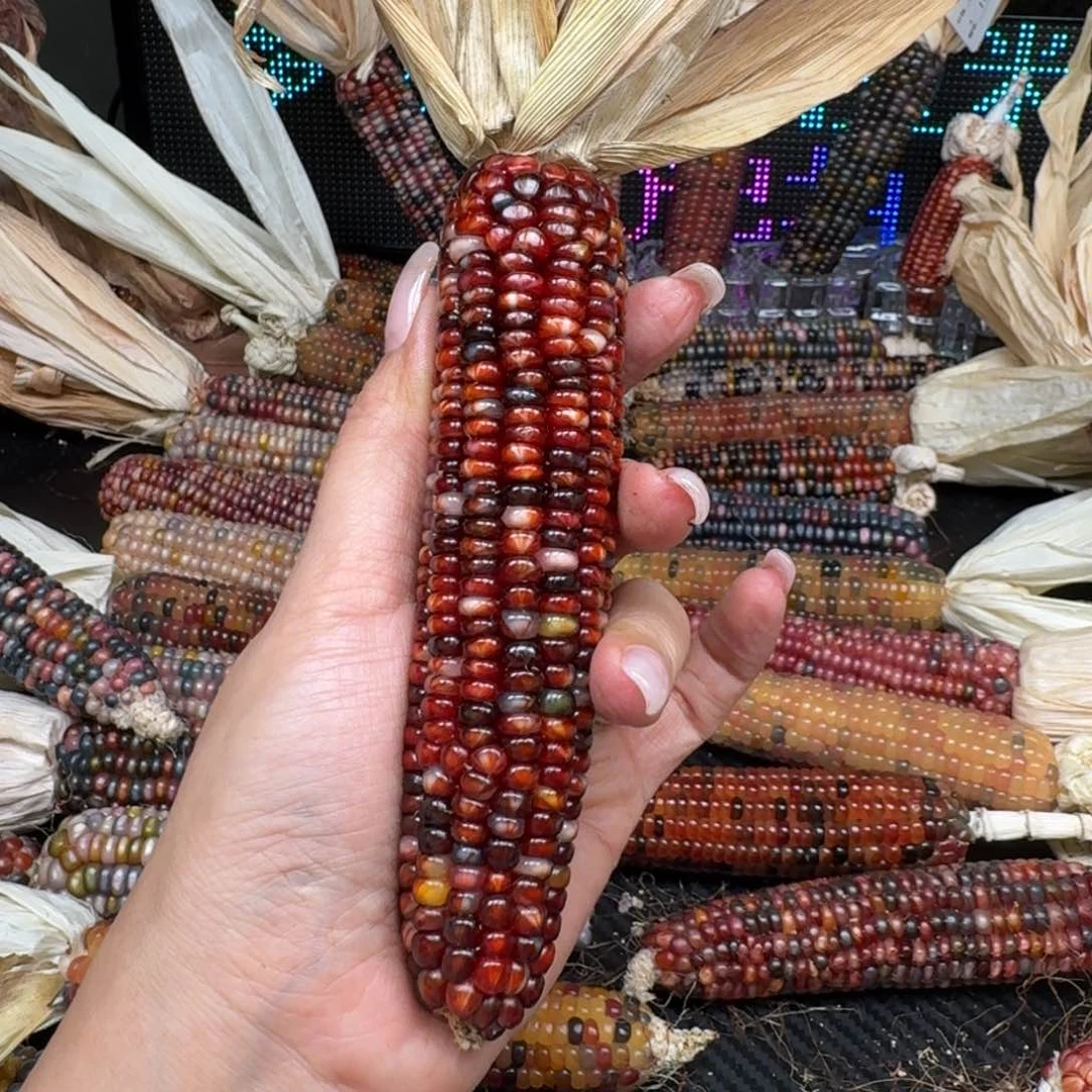 柏香籽/百香籽吊坠煦*