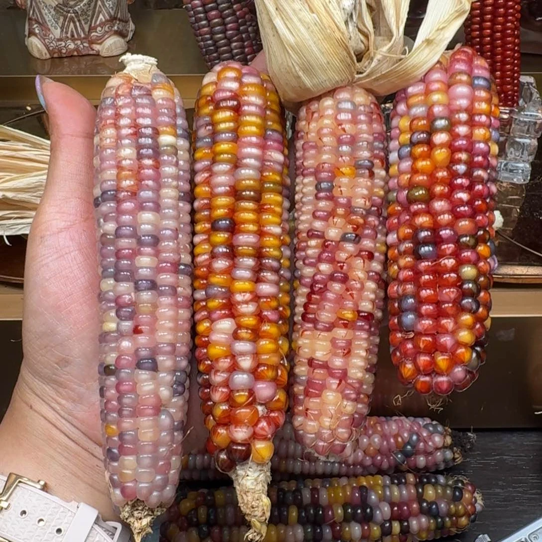 说***我柏香籽/百香籽吊坠