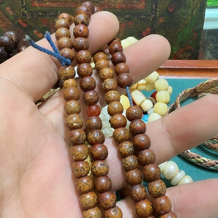 藏传公子公子公子