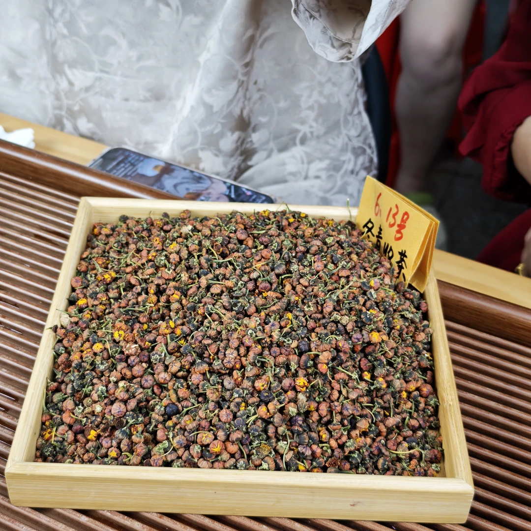 克里阳头茬昆仑雪胎菊 高海拔 冬青收茶