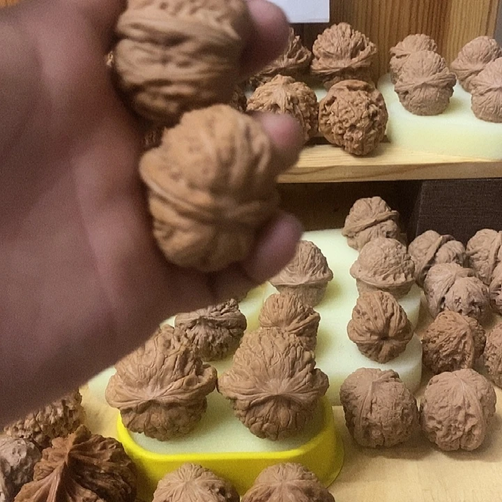 M***L大叶紫檀（黑酸枝木类）