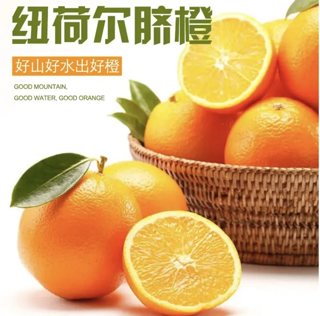新鲜纽荷尔脐橙年货节超值囤货鲜嫩多汁质量保证5斤畅销