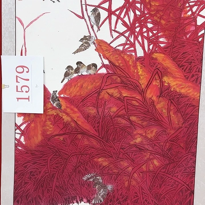 横款福利来了来了来了来