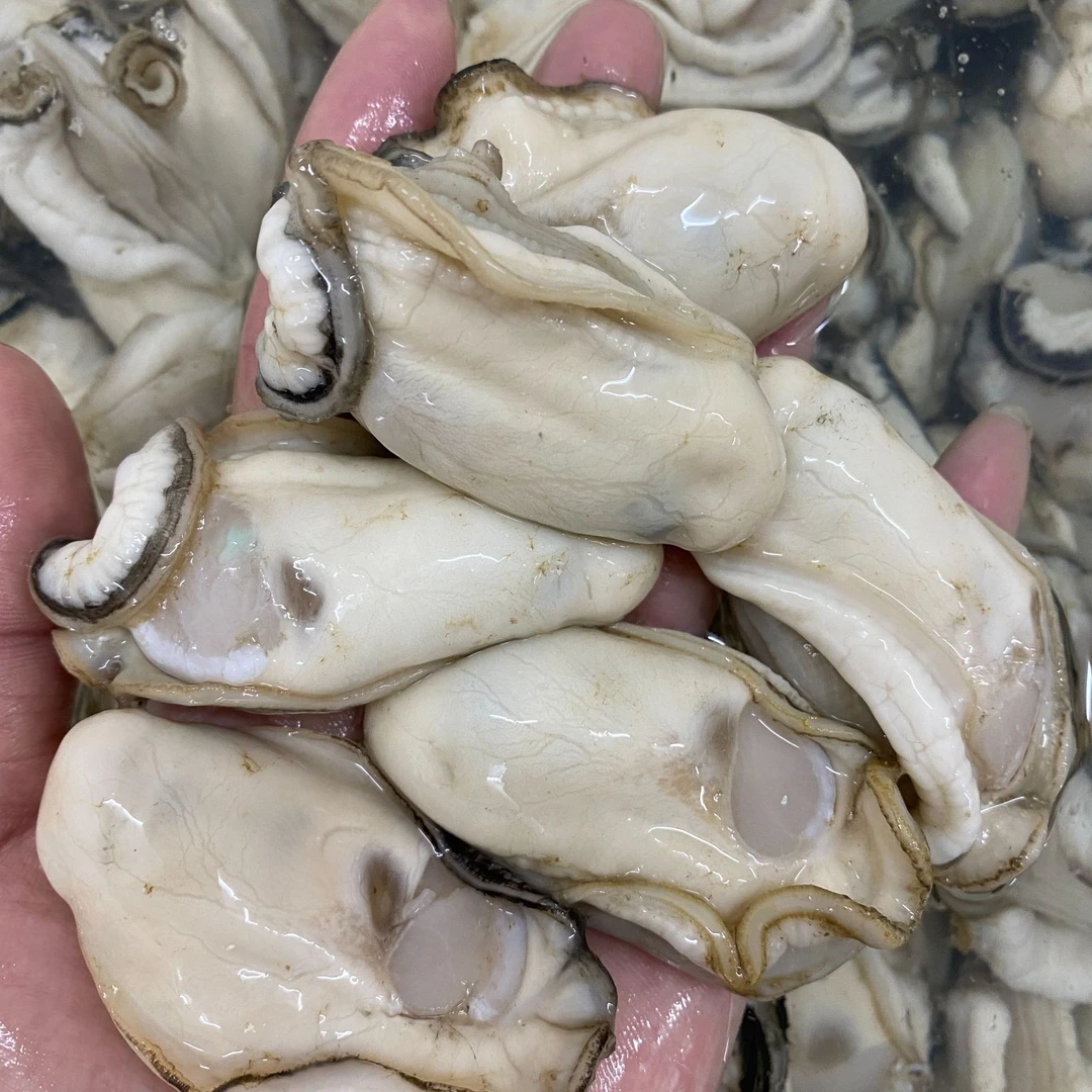 2斤台山生蚝【中蚝】15-17只/斤饱满鲜甜脆口广东省次日达专属海蛎子海鲜