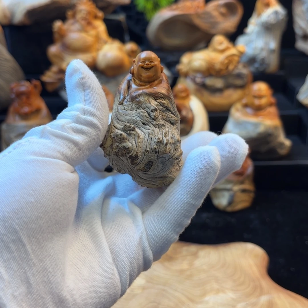 一***过柏木111111111111