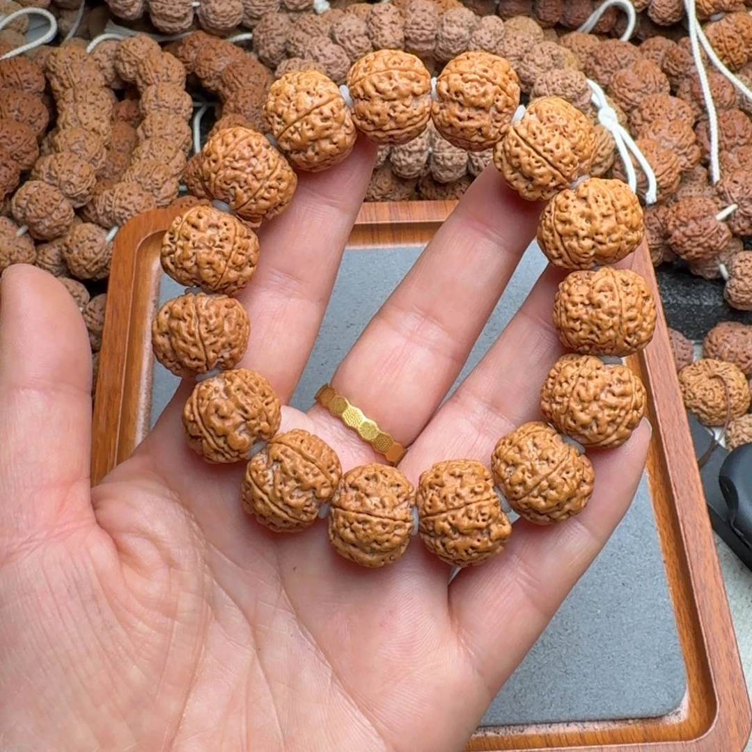 菩提菩提23号尼泊尔大金刚19蜂王梅花