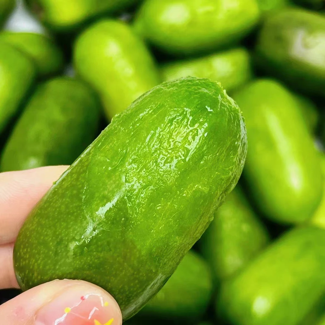 {坏果包赔} 辽宁丹东龙成二号软枣猕猴桃3斤/5斤 包邮